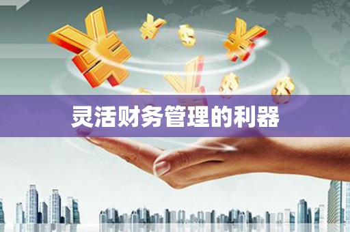 延安灵活财务管理的利器