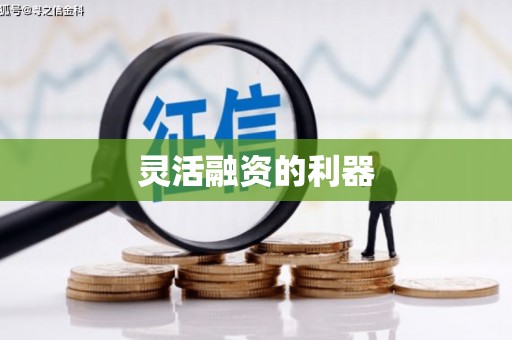 延安灵活融资的利器