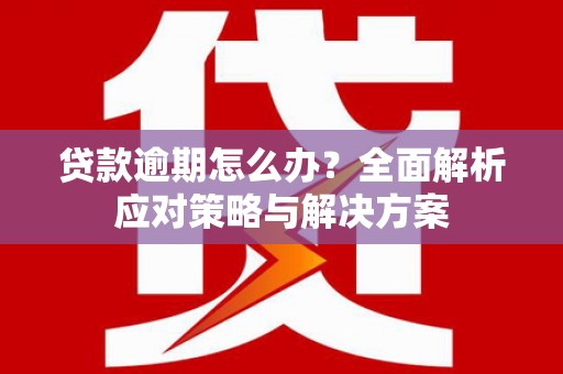 延安贷款逾期怎么办？全面解析应对策略与解决方案