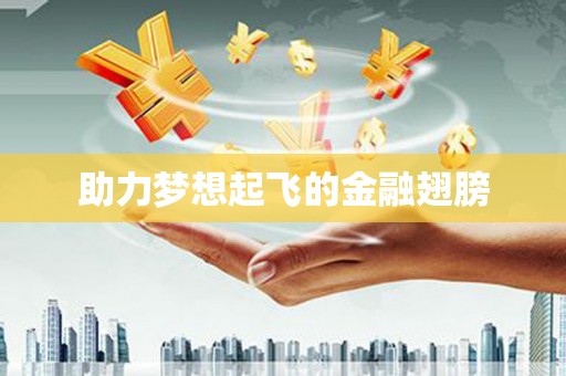 延安助力梦想起飞的金融翅膀