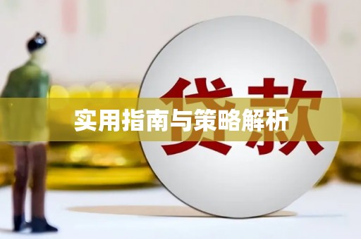 延安实用指南与策略解析