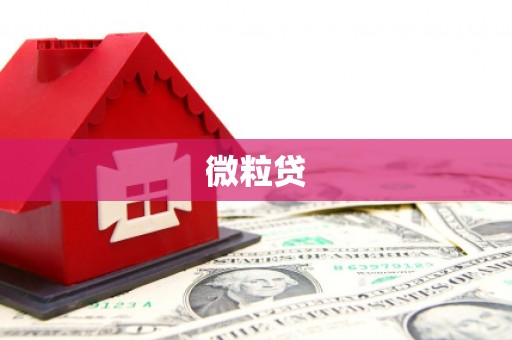 延安微粒贷
