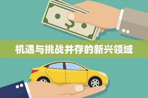 延安机遇与挑战并存的新兴领域