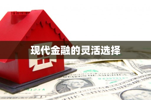 延安现代金融的灵活选择
