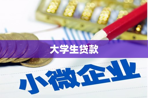 延安大学生贷款