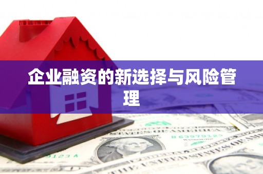 延安企业融资的新选择与风险管理