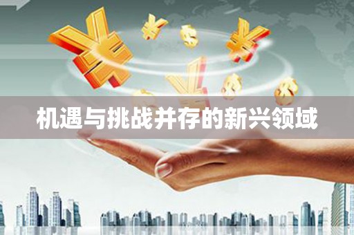 延安机遇与挑战并存的新兴领域