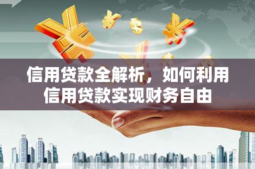 延安信用贷款全解析，如何利用信用贷款实现财务自由