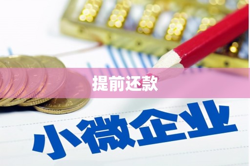 延安提前还款