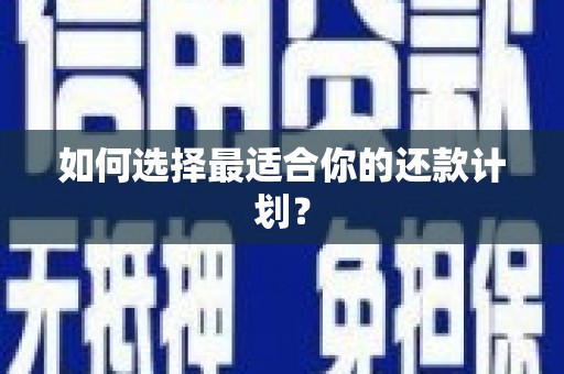 延安如何选择最适合你的还款计划？