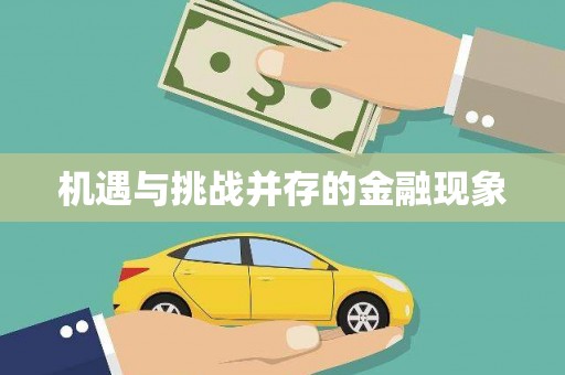 延安机遇与挑战并存的金融现象