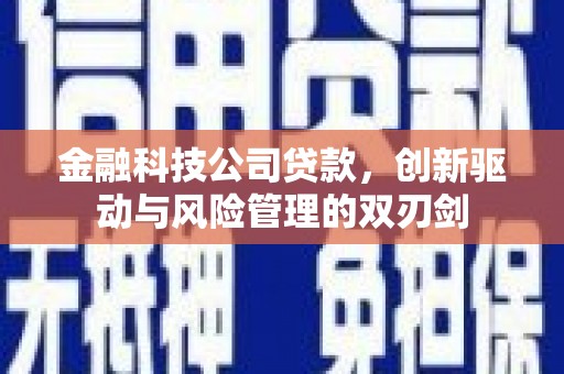 延安金融科技公司贷款，创新驱动与风险管理的双刃剑